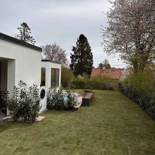 græs ved ny swimmingpool i haven