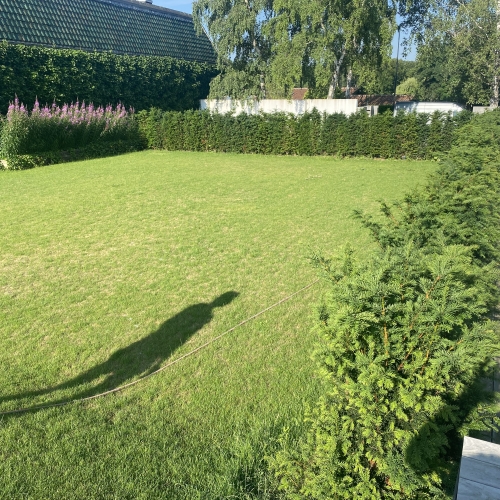 Græsplæne før nedgravet pool