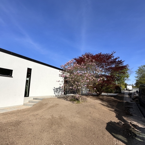 klargøring af ny græsplæne