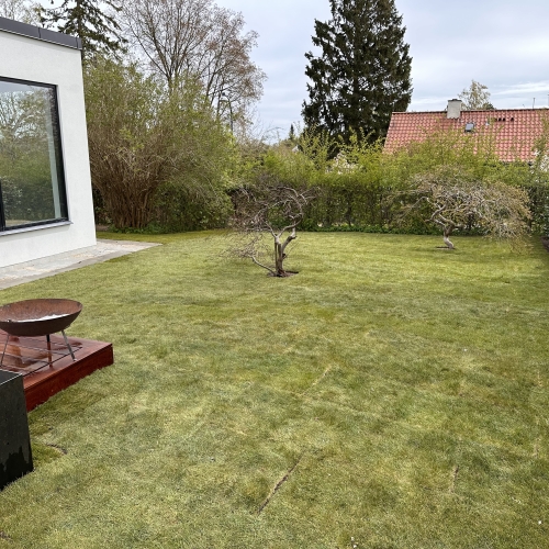 nyt rullegræs i have